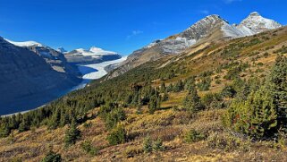 Saskatchewan Glacier - Parc National de Banff Canada 2023