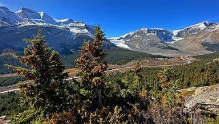 Wilcox Pass Trail - Parc National de Jasper Canada 2023