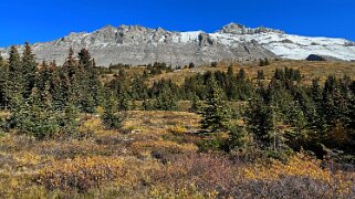 2023 07 Wilcox Pass - Parc National de Jasper