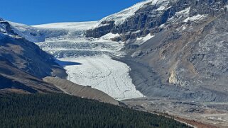 Athabasca Glacier - Wilcox Pass Trail - Parc National de Jasper Canada 2023