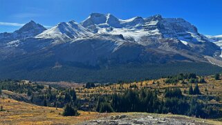 Mont Athabasca 3479 m - Wilcox Pass Trail - Parc National de Jasper Canada 2023