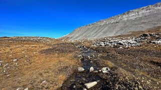 Wilcox Pass 2375 m- Parc National de Jasper Canada 2023