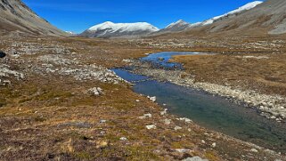 Wilcox Pass 2375 m- Parc National de Jasper Canada 2023