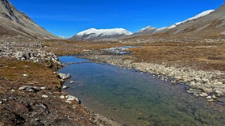 Wilcox Pass 2375 m- Parc National de Jasper Canada 2023