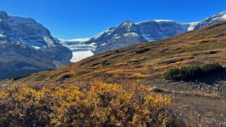 Wilcox Pass Trail - Parc National de Jasper Canada 2023