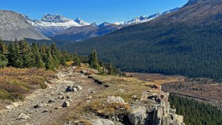 Wilcox Pass Trail - Parc National de Jasper Canada 2023