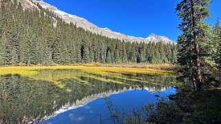 Wilcox Pass Trail - Parc National de Jasper Canada 2023