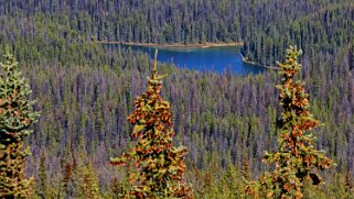 Mona Lake - Parc National de Jasper Canada 2023