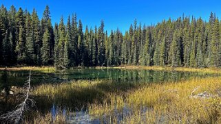 Lorraine Lake - Parc National de Jasper Canada 2023