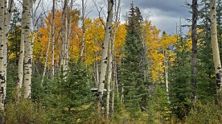 Parc National de Jasper Canada 2023