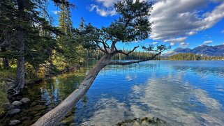 Lac Beauvert - Parc National de Jasper Canada 2023