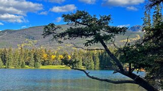 Lac Beauvert - Parc National de Jasper Canada 2023