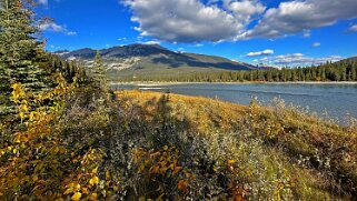 Athabasca River - Parc National de Jasper Canada 2023