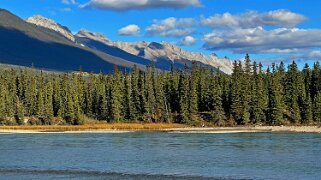 Athabasca River - Parc National de Jasper Canada 2023