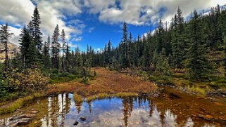 Cavell Creek - Parc National de Jasper Canada 2023