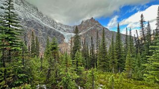 Cavell Creek - Parc National de Jasper Canada 2023