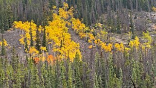 Horseshoe Lake - Parc National de Jasper Canada 2023