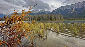 Buck Lake - Parc National de Jasper Canada 2023