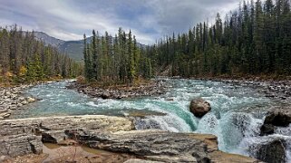 2023 15 Sunwapta Falls - Parc National de Jasper