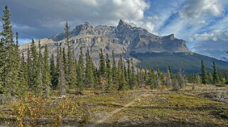 Mistaya River - Parc National de Banff Canada 2023