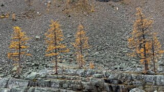 Lake Agnes - Parc National de Banff Canada 2023