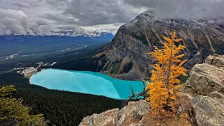 2023 18 Lake Louise - Parc National de Banff