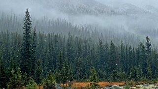 Babel Creek - Parc National de Banff Canada 2023