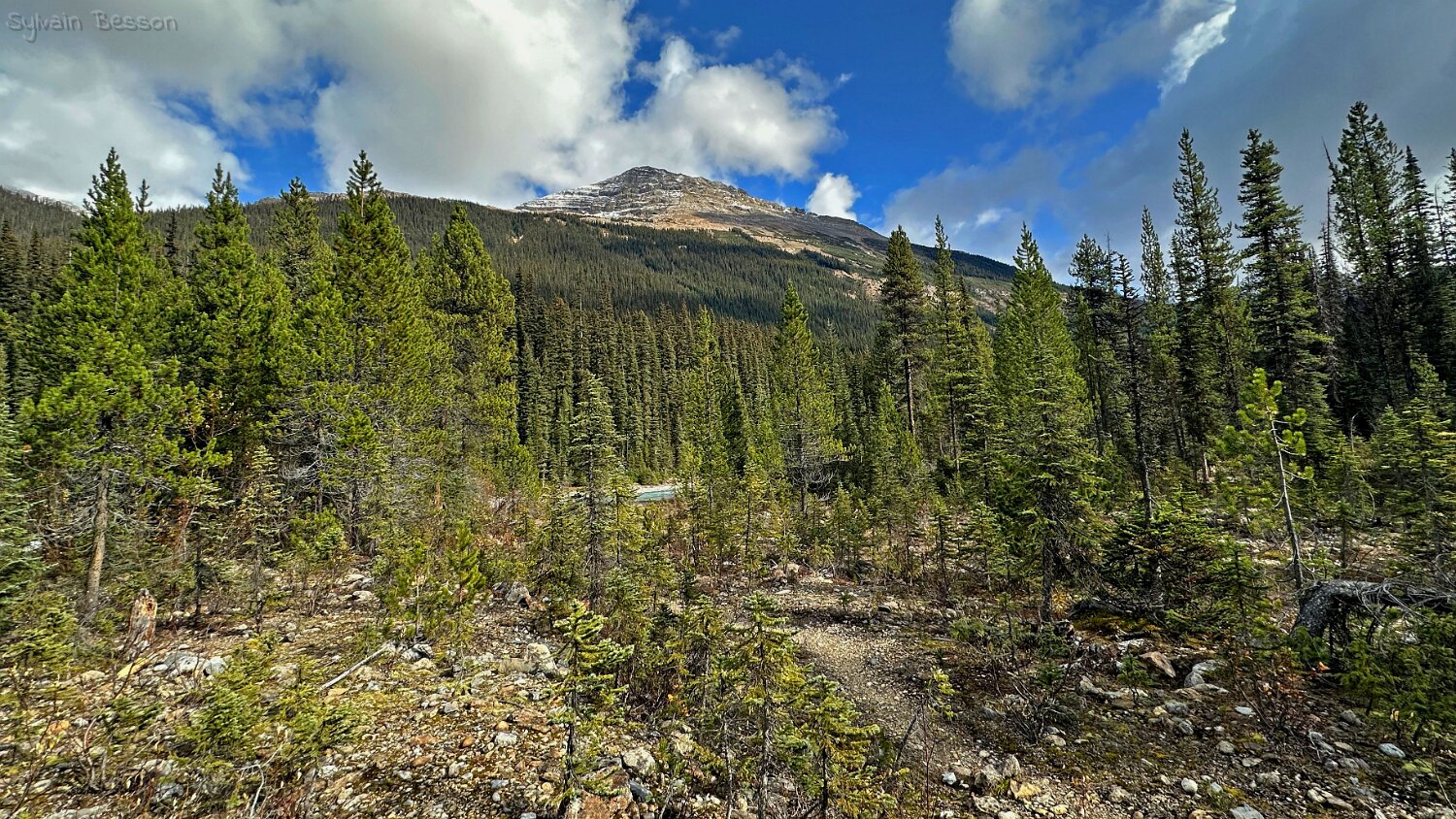 Parc National de Yoho Canada 2023
