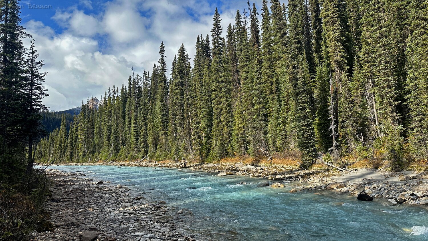 Yoho River - Parc National de Yoho Canada 2023