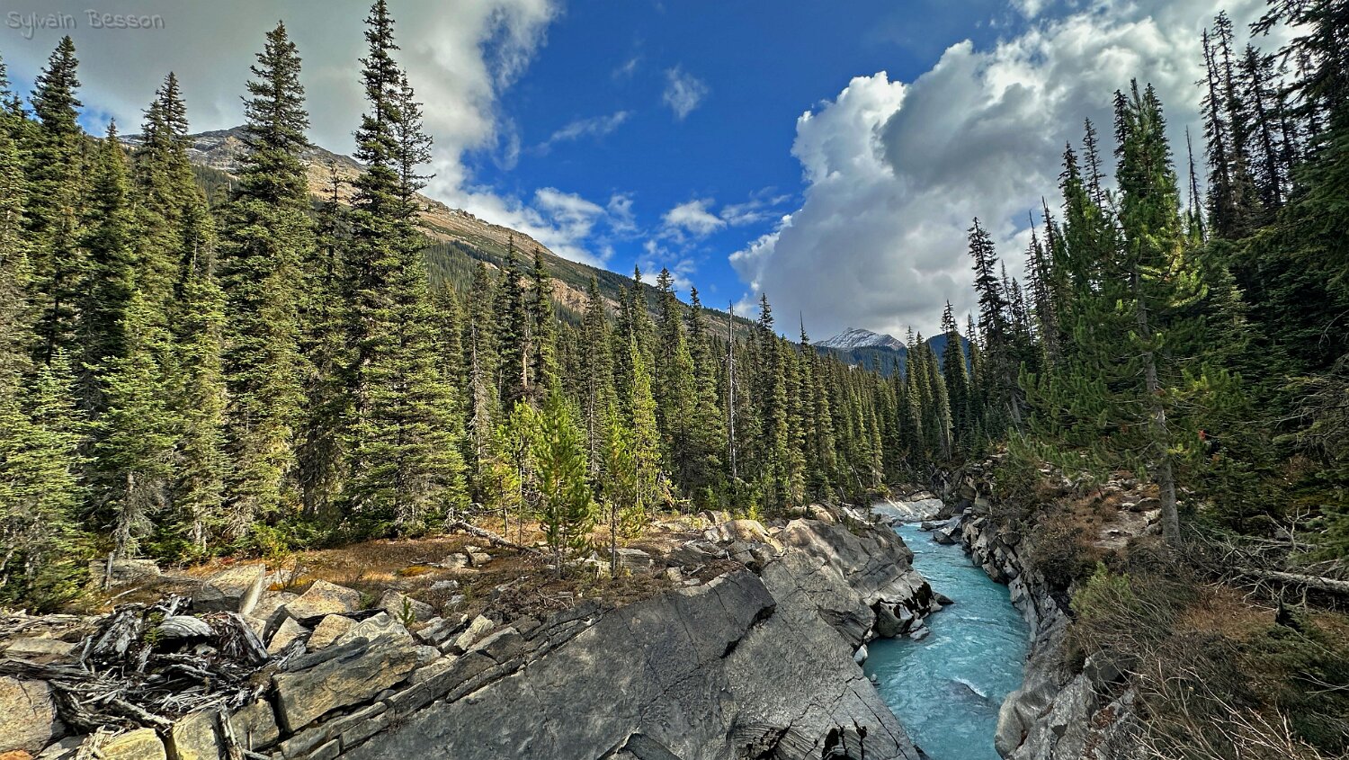 Yoho River - Parc National de Yoho Canada 2023