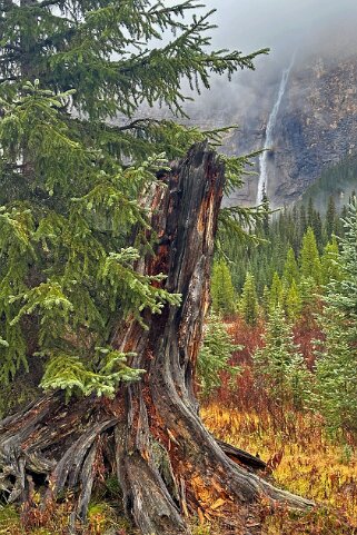 Takakkaw Falls - Parc National de Yoho Canada 2023