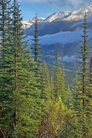 Parc National de Yoho Canada 2023