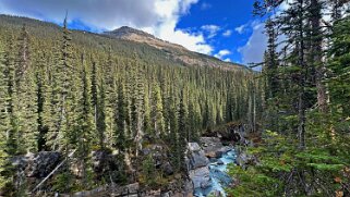 Yoho River - Parc National de Yoho null