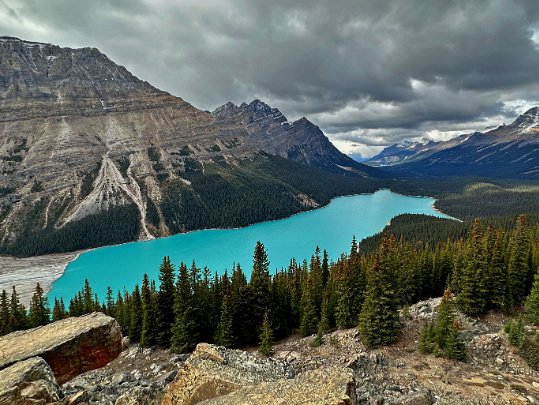 Peyto Lake - Parc National de Banff Alberta - Canada