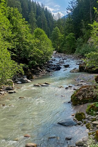 Wiesen - Filisur Grisons 2023