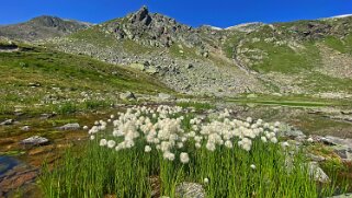 Val Grialetsch Grisons 2023