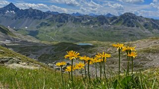 Jöriflüelafurgga 2722 m Grisons 2023