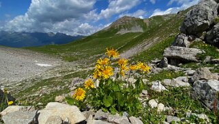 Fanezfurgga 2578 m Grisons 2023