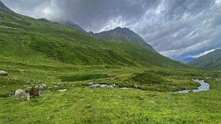 Chüealptal Grisons 2023