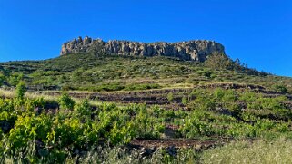 Pavon - Fortaleza de Chipude 1231 m - La Gomera La Gomera 2023