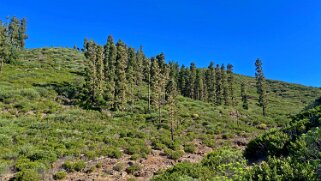 Barranco Erque - La Gomera La Gomera 2023