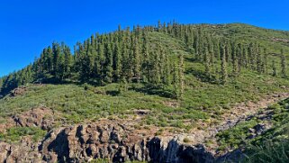 Barranco Erque - La Gomera null