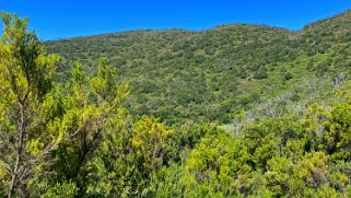 Parc national de Garajonay - La Gomera La Gomera 2023