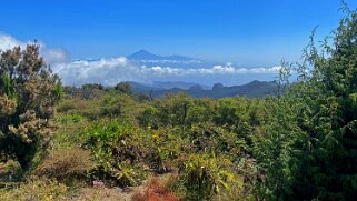 Parc national de Garajonay - La Gomera La Gomera 2023