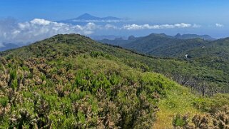 Parc national de Garajonay - La Gomera La Gomera 2023