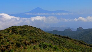 Parc national de Garajonay - La Gomera La Gomera 2023