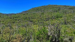 Parc national de Garajonay - La Gomera La Gomera 2023