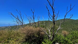 Parc national de Garajonay - La Gomera La Gomera 2023