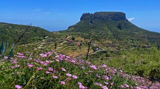 Pavon - Fortaleza de Chipude 1231 m - La Gomera La Gomera 2023