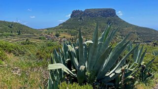 Pavon - Fortaleza de Chipude 1231 m - La Gomera La Gomera 2023